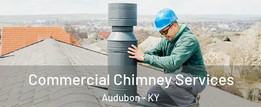 Commercial Chimney Services Audubon - KY