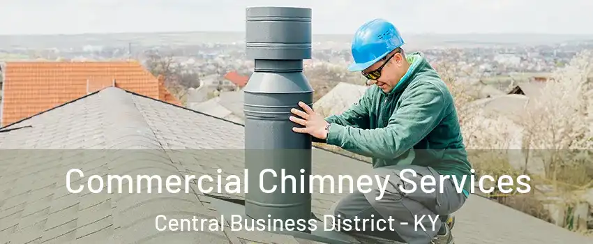 Commercial Chimney Services Central Business District - KY