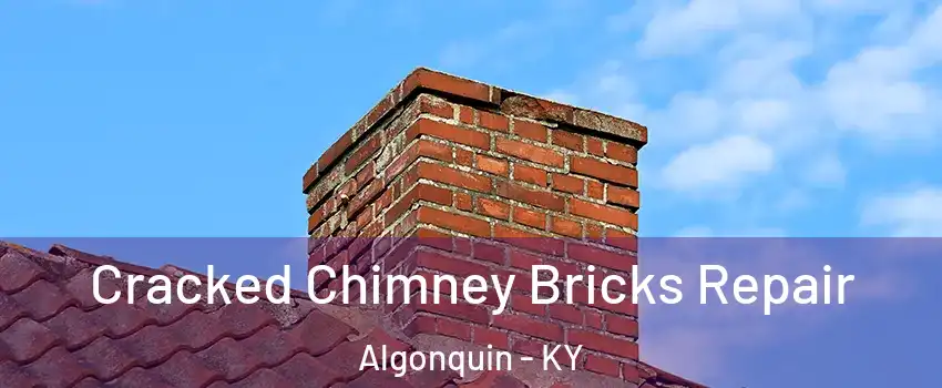 Cracked Chimney Bricks Repair Algonquin - KY