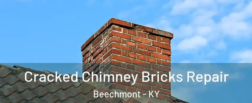 Cracked Chimney Bricks Repair Beechmont - KY