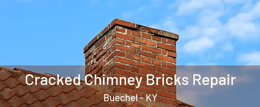 Cracked Chimney Bricks Repair Buechel - KY