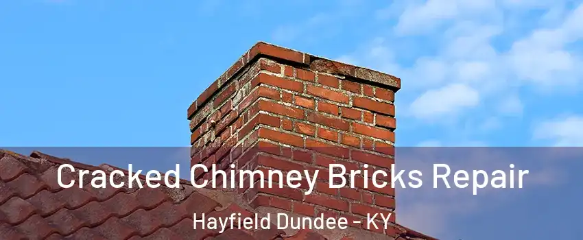 Cracked Chimney Bricks Repair Hayfield Dundee - KY