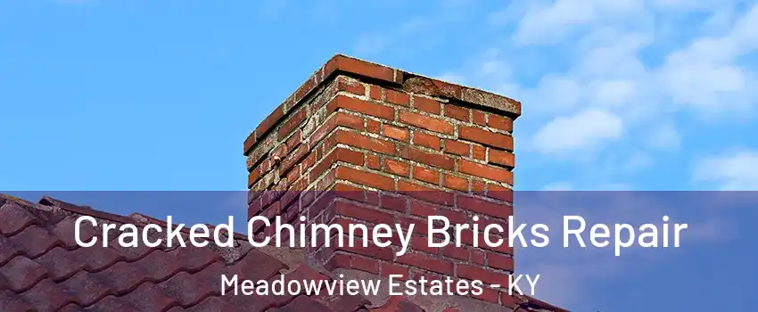 Cracked Chimney Bricks Repair Meadowview Estates - KY