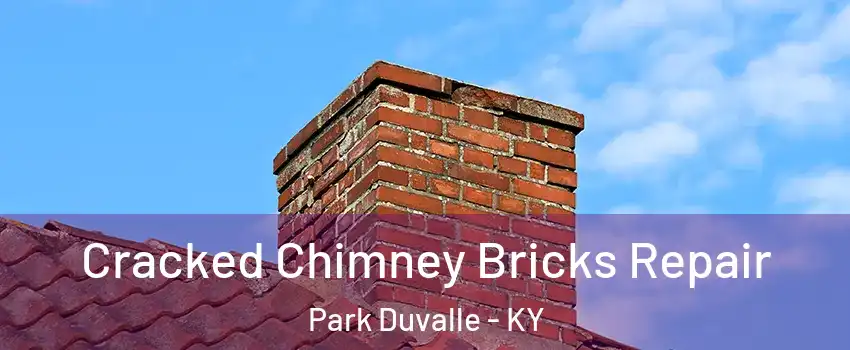 Cracked Chimney Bricks Repair Park Duvalle - KY
