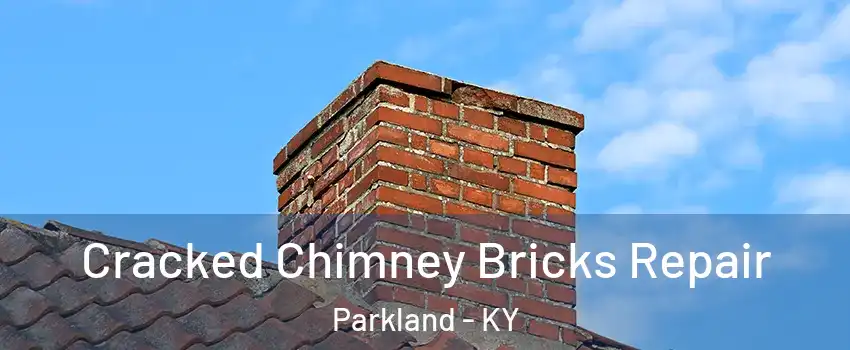 Cracked Chimney Bricks Repair Parkland - KY