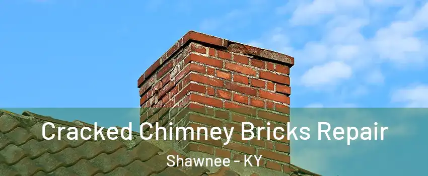 Cracked Chimney Bricks Repair Shawnee - KY