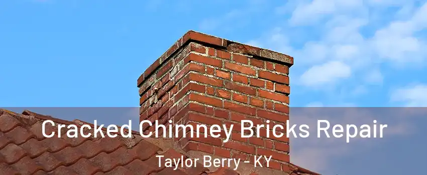 Cracked Chimney Bricks Repair Taylor Berry - KY