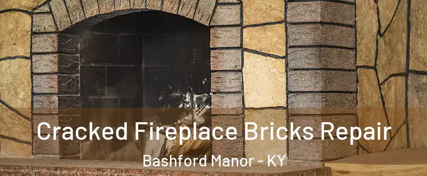 Cracked Fireplace Bricks Repair Bashford Manor - KY