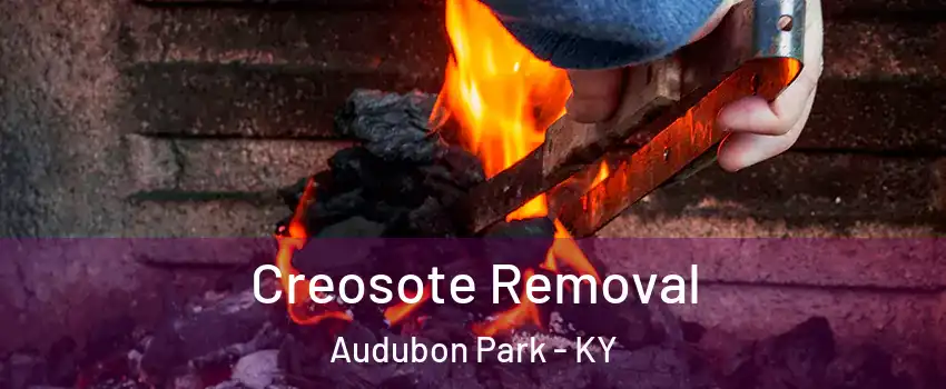 Creosote Removal Audubon Park - KY