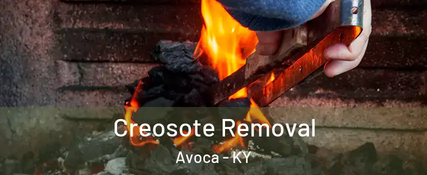 Creosote Removal Avoca - KY