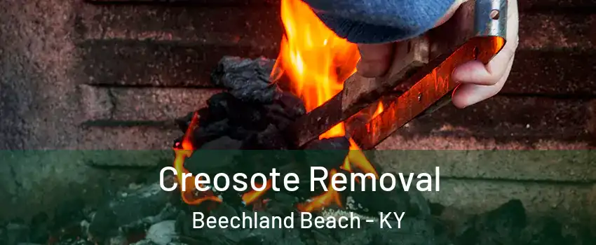 Creosote Removal Beechland Beach - KY