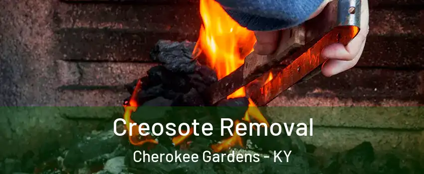 Creosote Removal Cherokee Gardens - KY