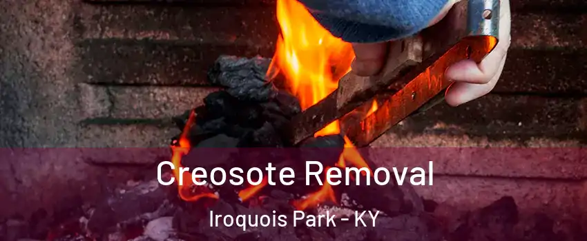 Creosote Removal Iroquois Park - KY