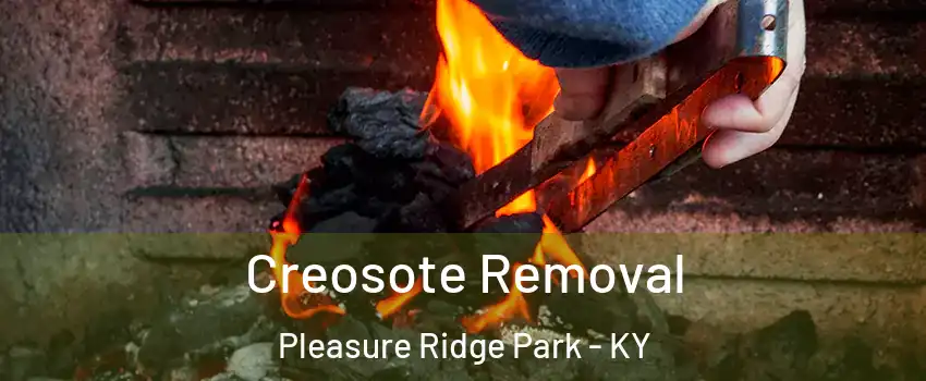 Creosote Removal Pleasure Ridge Park - KY