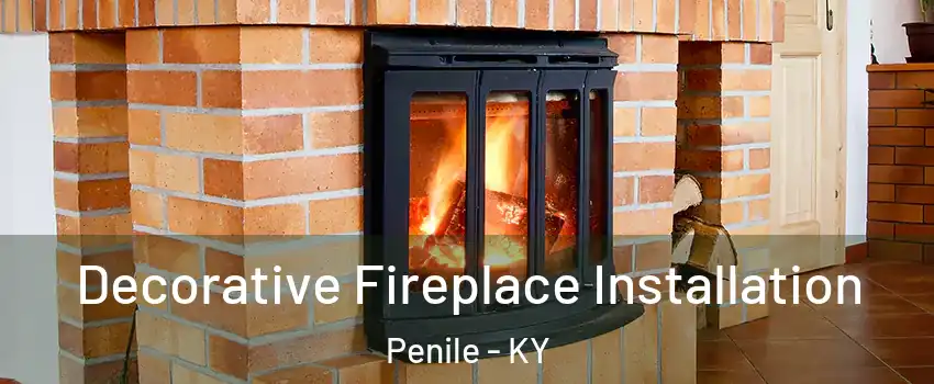 Decorative Fireplace Installation Penile - KY