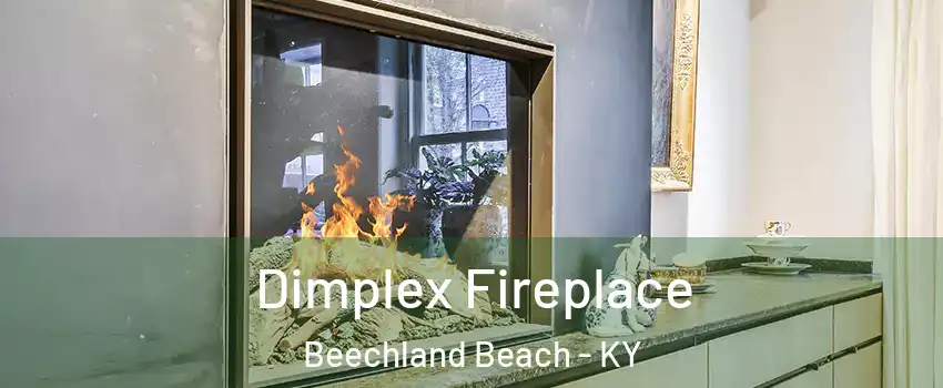 Dimplex Fireplace Beechland Beach - KY