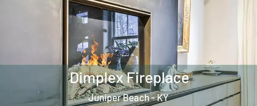 Dimplex Fireplace Juniper Beach - KY