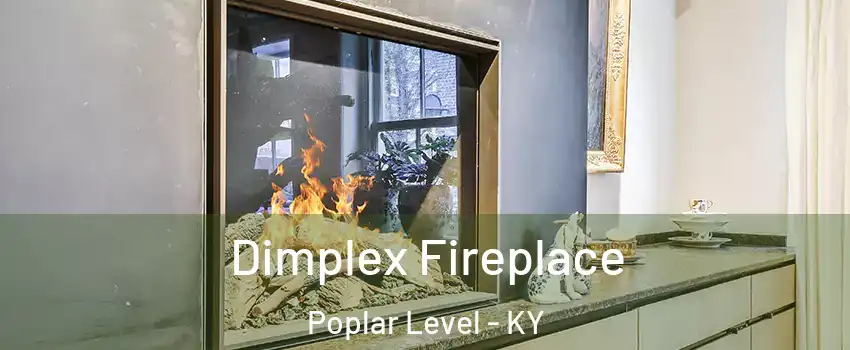 Dimplex Fireplace Poplar Level - KY