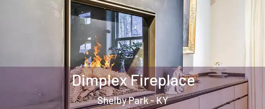 Dimplex Fireplace Shelby Park - KY