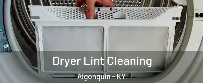 Dryer Lint Cleaning Algonquin - KY