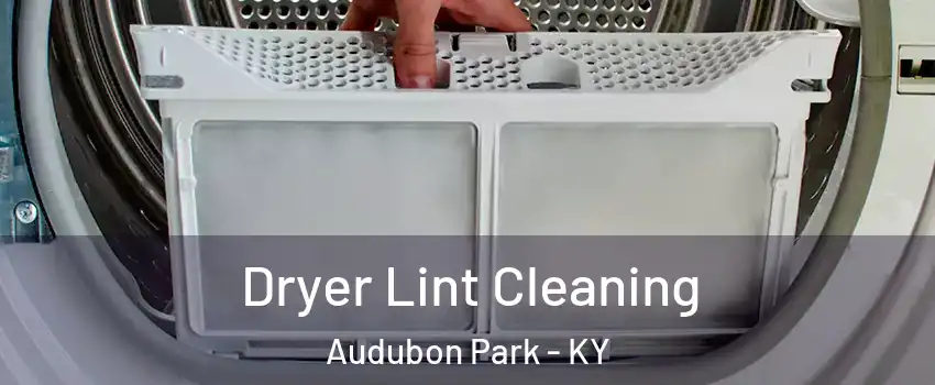 Dryer Lint Cleaning Audubon Park - KY