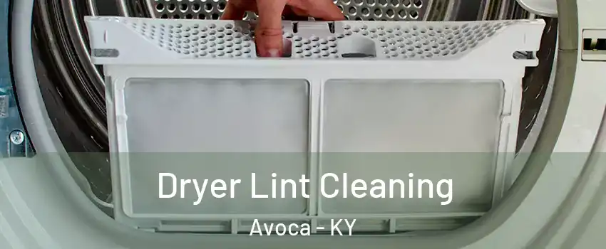 Dryer Lint Cleaning Avoca - KY
