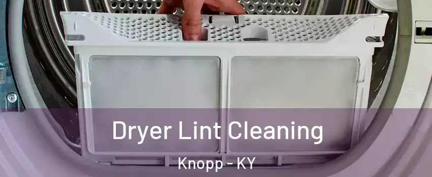 Dryer Lint Cleaning Knopp - KY
