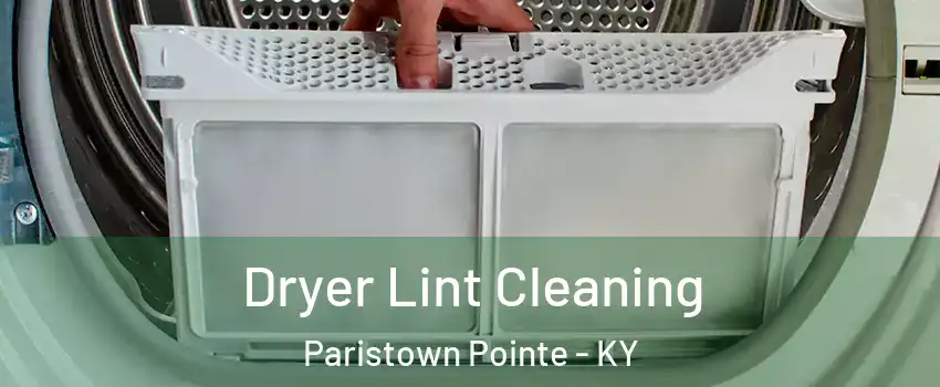 Dryer Lint Cleaning Paristown Pointe - KY