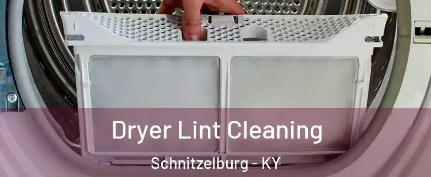 Dryer Lint Cleaning Schnitzelburg - KY