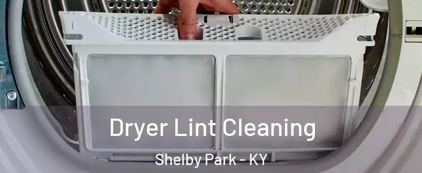 Dryer Lint Cleaning Shelby Park - KY