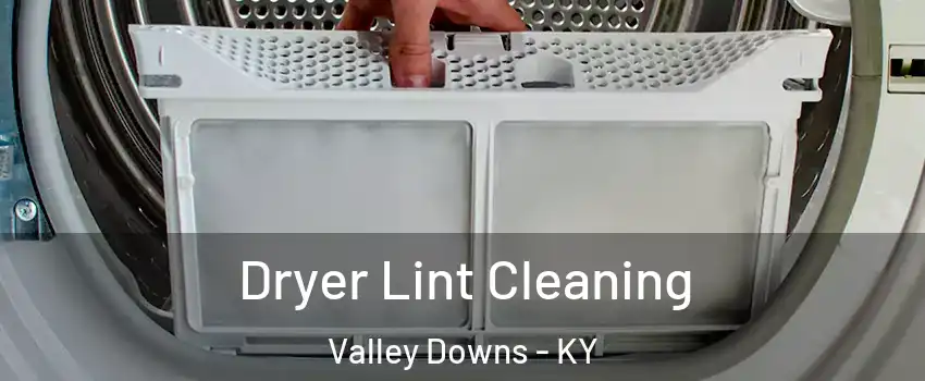 Dryer Lint Cleaning Valley Downs - KY