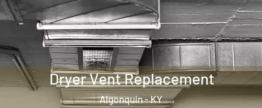 Dryer Vent Replacement Algonquin - KY