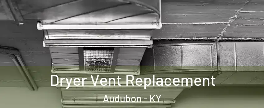 Dryer Vent Replacement Audubon - KY