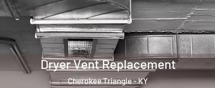 Dryer Vent Replacement Cherokee Triangle - KY