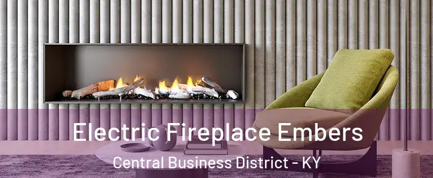 Electric Fireplace Embers Central Business District - KY