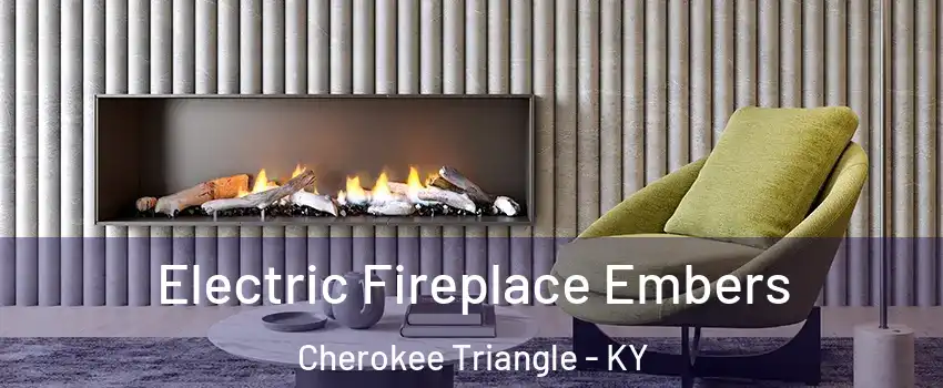 Electric Fireplace Embers Cherokee Triangle - KY