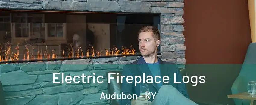 Electric Fireplace Logs Audubon - KY