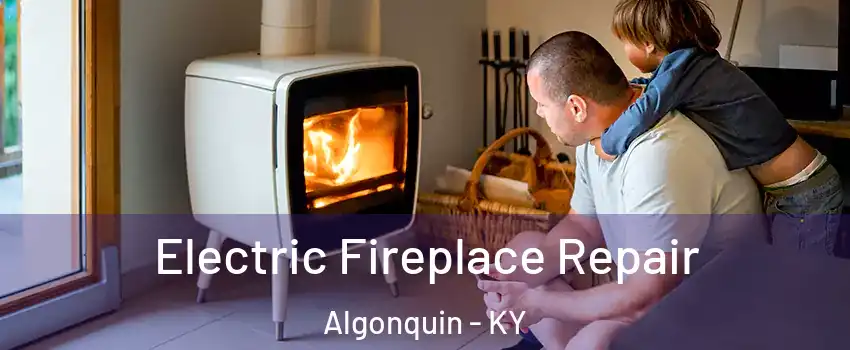 Electric Fireplace Repair Algonquin - KY