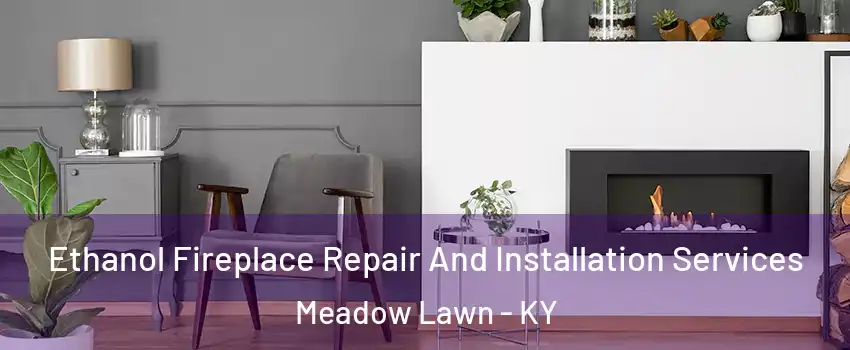 Ethanol Fireplace Repair And Installation Services Meadow Lawn - KY