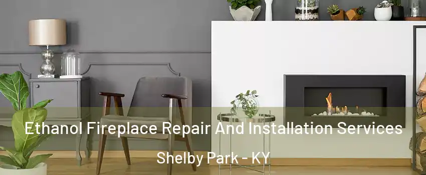 Ethanol Fireplace Repair And Installation Services Shelby Park - KY