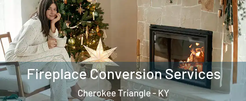 Fireplace Conversion Services Cherokee Triangle - KY