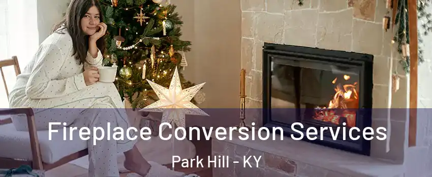 Fireplace Conversion Services Park Hill - KY