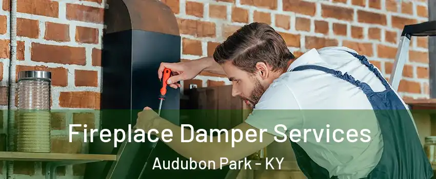 Fireplace Damper Services Audubon Park - KY