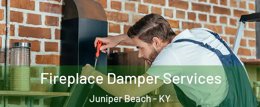 Fireplace Damper Services Juniper Beach - KY