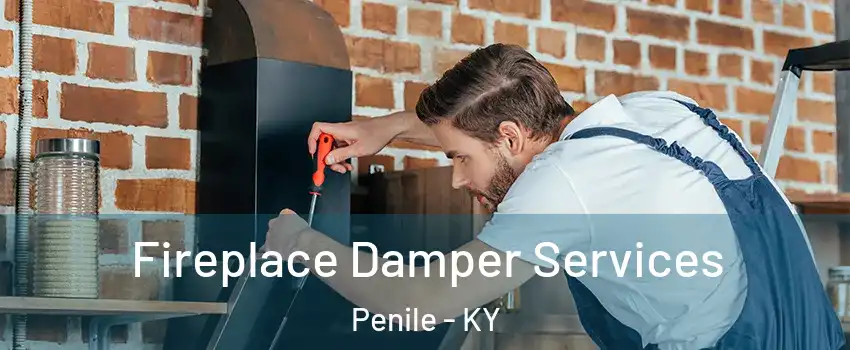 Fireplace Damper Services Penile - KY