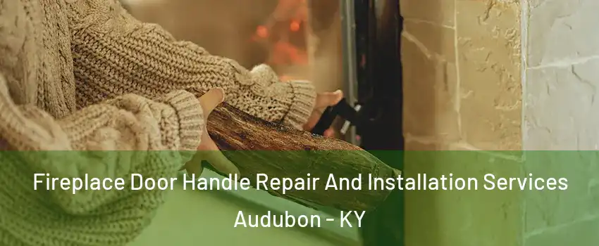 Fireplace Door Handle Repair And Installation Services Audubon - KY