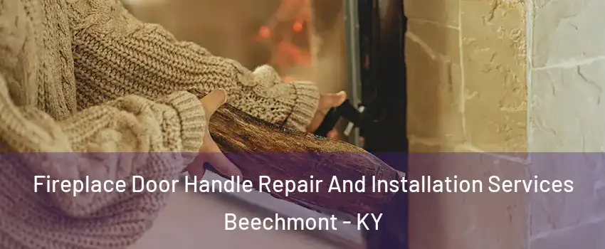 Fireplace Door Handle Repair And Installation Services Beechmont - KY