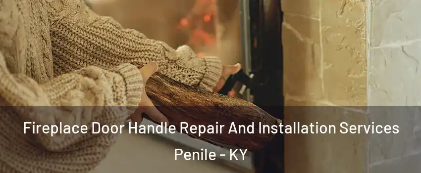 Fireplace Door Handle Repair And Installation Services Penile - KY