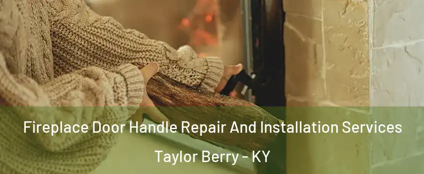 Fireplace Door Handle Repair And Installation Services Taylor Berry - KY