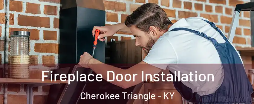 Fireplace Door Installation Cherokee Triangle - KY